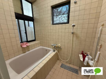  �o�X�^�V�����[