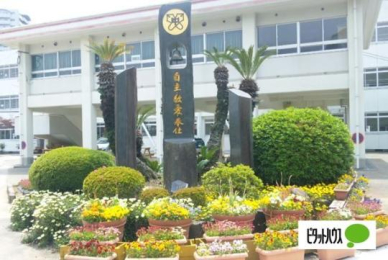  �����ێs���������w�Z:2013m