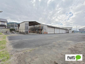  �����O��