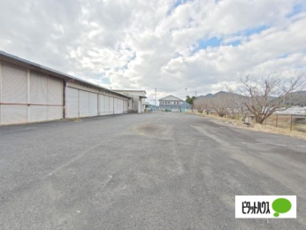  �����O��