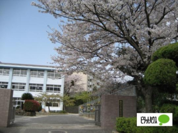  �����ێs���_�����w�Z:1230m