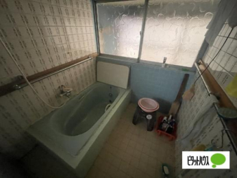  �o�X�^�V�����[