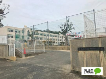  �����ێs����쏬�w�Z:1245m