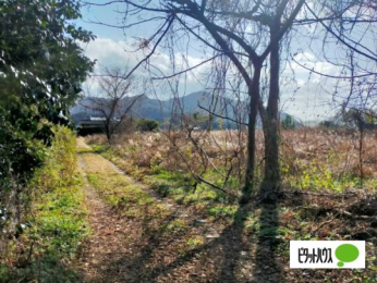  �����O��