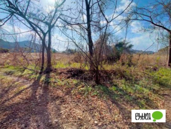  �����O��