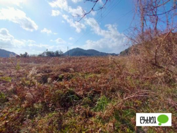  �����O��