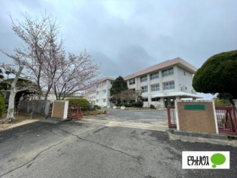  �����ێs�������X���w�Z:1666m