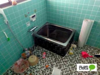  �o�X�^�V�����[