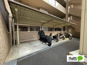  ���̑����L����