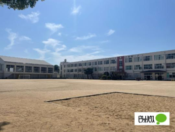  �����ێs�����앗���w�Z:483m