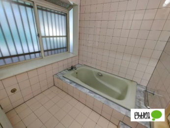  �o�X�^�V�����[