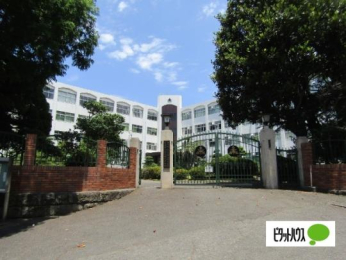  ���茧�������ۖk���Z:1556m