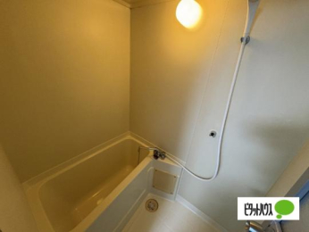  �o�X�^�V�����[