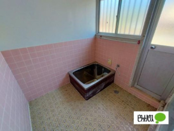  �o�X�^�V�����[